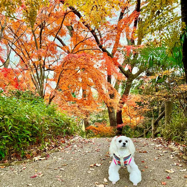 Da7e5f6e c0dd 421b b338 983243a5f587 1671269224784