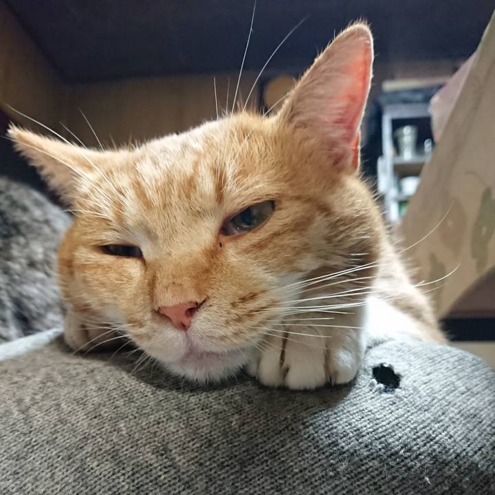 Da7e5fbf fc1e 4f43 89b5 933bf0ed79a5 1575709440168