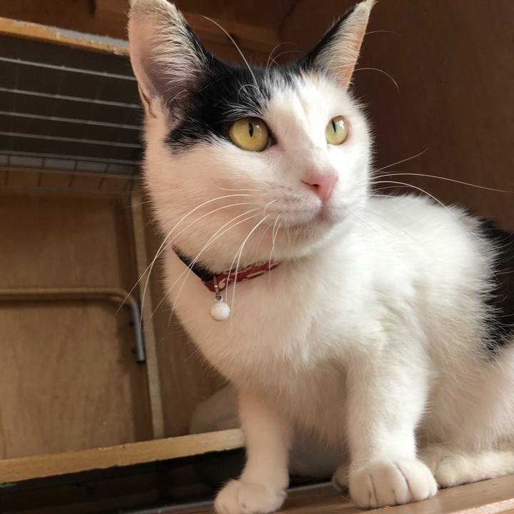 Da7e5fca 209e 4b85 acc2 c75e79195b02 1621982728536