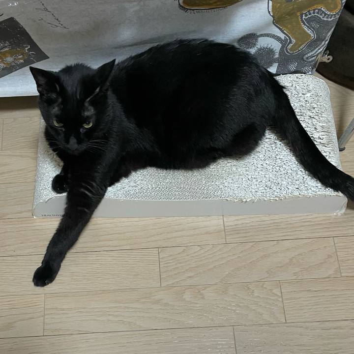 Da7e6d31 1352 4c2d bd5b 7856b39ceb0d 1749643496529