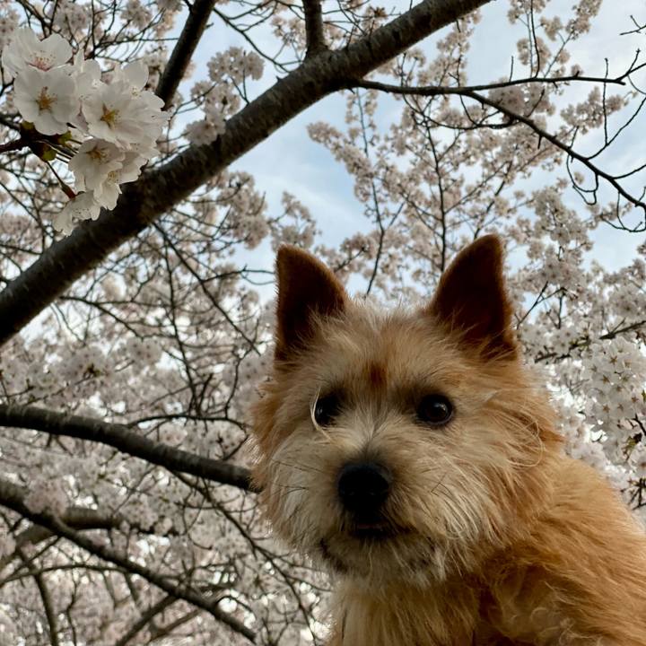 Da7e7c28 4317 4dbb 9f33 749783e225e7 1712499817770