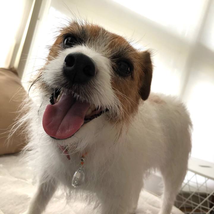 Da7e88de aa43 4c9c bc20 801987aa3519 1621744849470