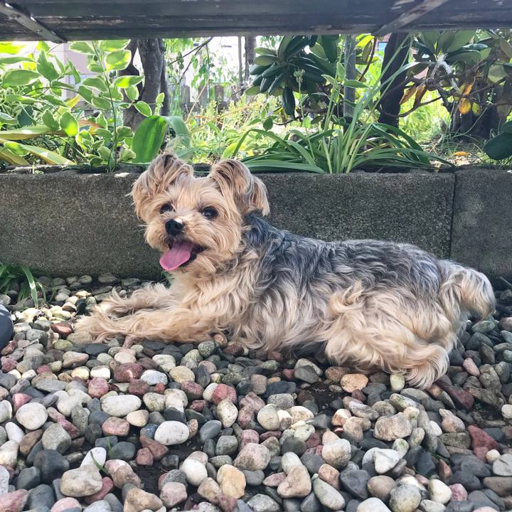 Da7e8eef 570e 4959 989d ece8786f90c2 1529837517607