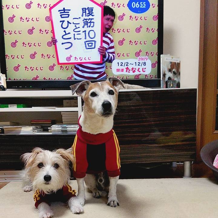 Da7ebeb9 99ab 42e4 97bb 573c1091cf89 1575239334567