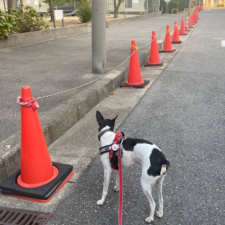 Da7ecafa 0b6d 4ed2 9a75 18b940a7be9d 1571266601729