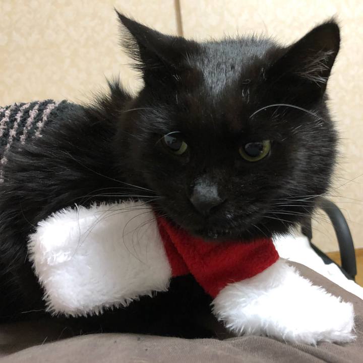 Da7ee4b4 fd5f 4f0e 9915 bd083204ccf5 1637241446670