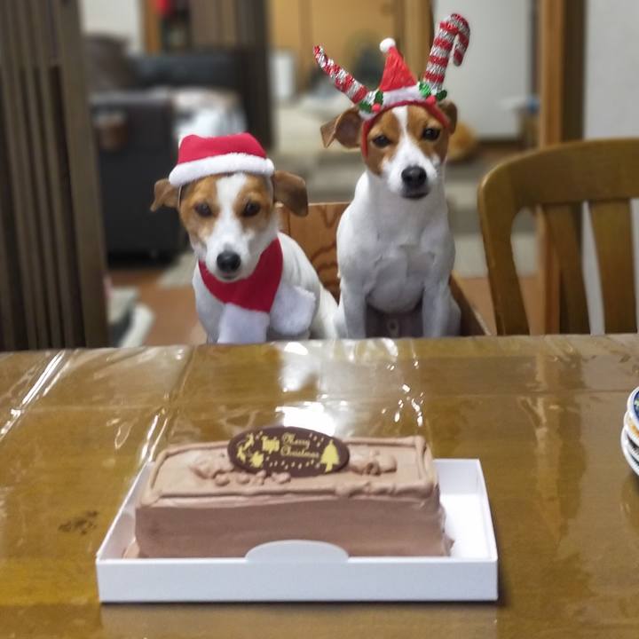 Da7ef742 8ad4 4d24 9b17 d2c3a1181fb8 1766651689454