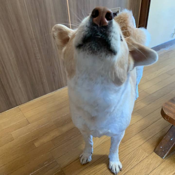 Da7f0a28 cab3 4e1c bb92 61c3f4f64993 1581384810699