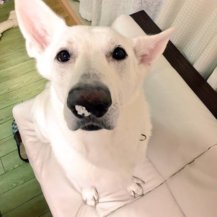 Da7f2690 d8d5 4df4 86f2 3754aa2e8451 1564838190545