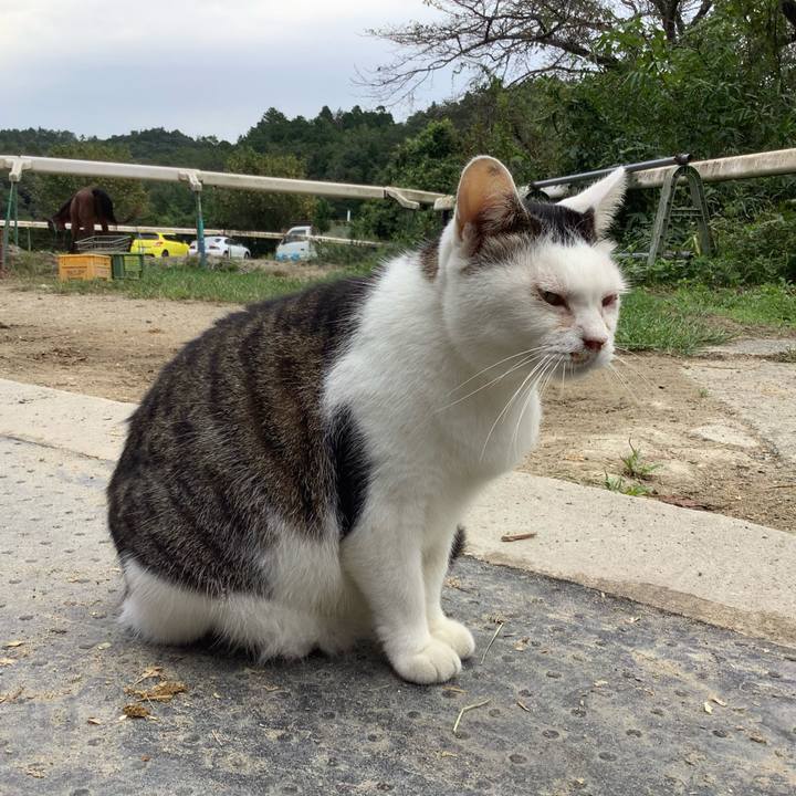 Da7f3745 464c 4025 bae9 37823f43af61 1601085708531