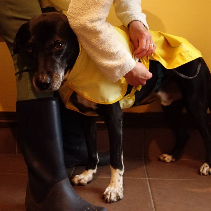 Da7f3e9d a74a 4700 bd57 26990a456e2b 1743205376160