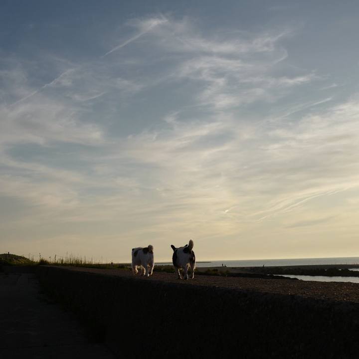 Da7f460f 51aa 4cda b72a 8ad4d22496d7 1567742081420