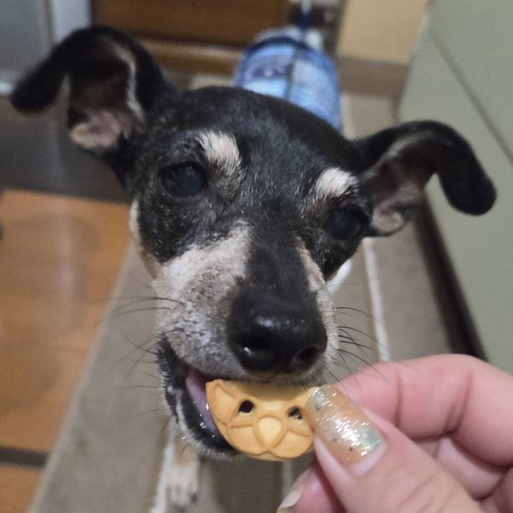 Da7f4848 5c86 4026 b5ae f6cc88297cff 1755292587732