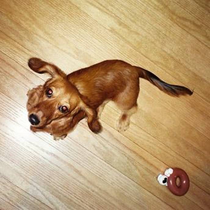 Da7f56f8 4da2 4ee7 b2f1 5c272b5c7e0b 1523988305982