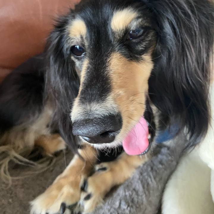 Da7f7bdb 42e3 4fe0 a86d dd67893603a8 1738567980134