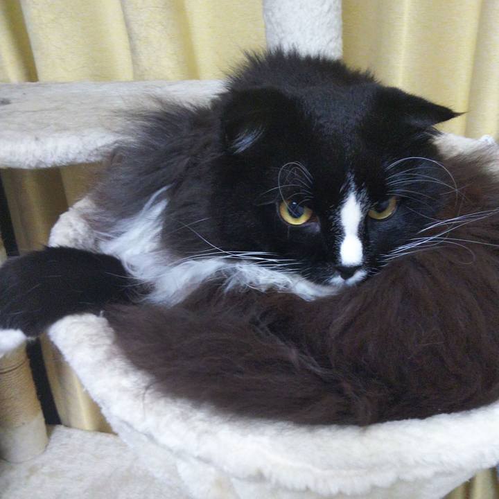 Da7f8093 7ae5 42bd b884 63e8ca5a4391 1664105446861