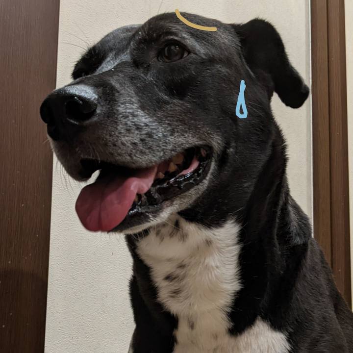 Da7f895d 1760 493b 86e2 75422382fc1c 1696590289974