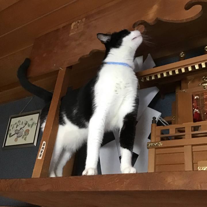 Da7f9d0c 3d33 487d a709 cf05d37eb301 1728631176584