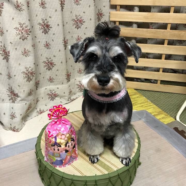 Da7fb689 c2c6 4139 bd81 dcd8b44d90a1 1646305058983