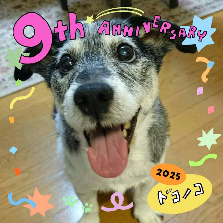 Da7fd441 0c29 4606 9644 5cc53e57e9e2 1749298813931