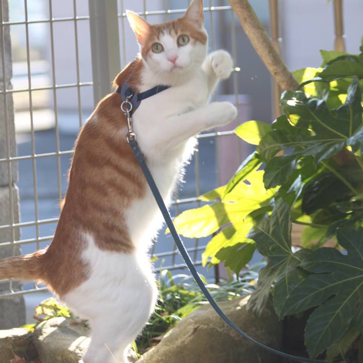 Da8000e1 e2ba 4906 b22b f32b02bbdffe 1538230987373