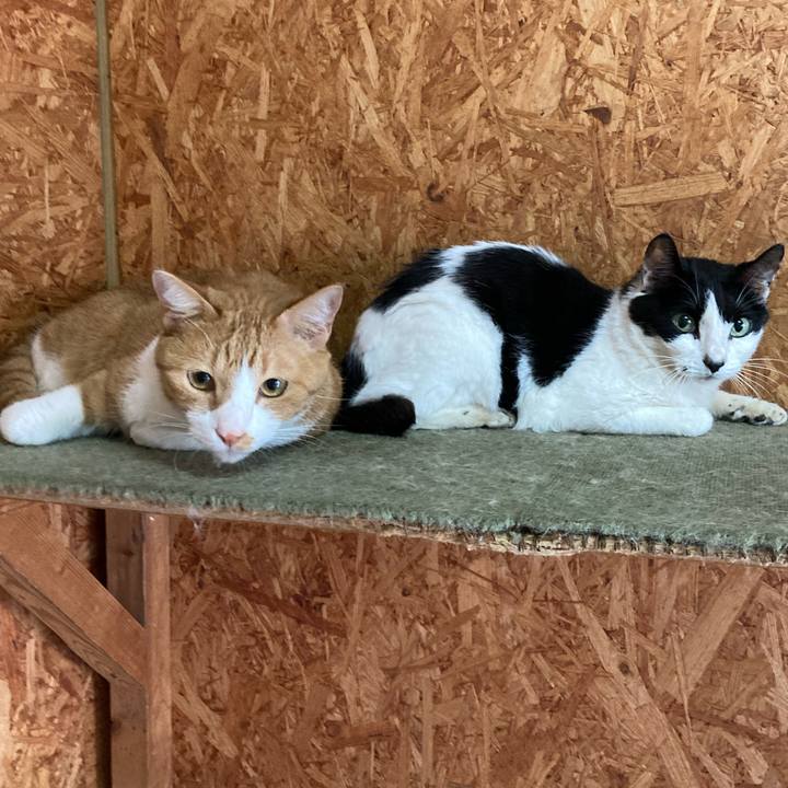 Da80078a ba07 4cf7 9fcf 09d2cb1e6b4f 1633600624516