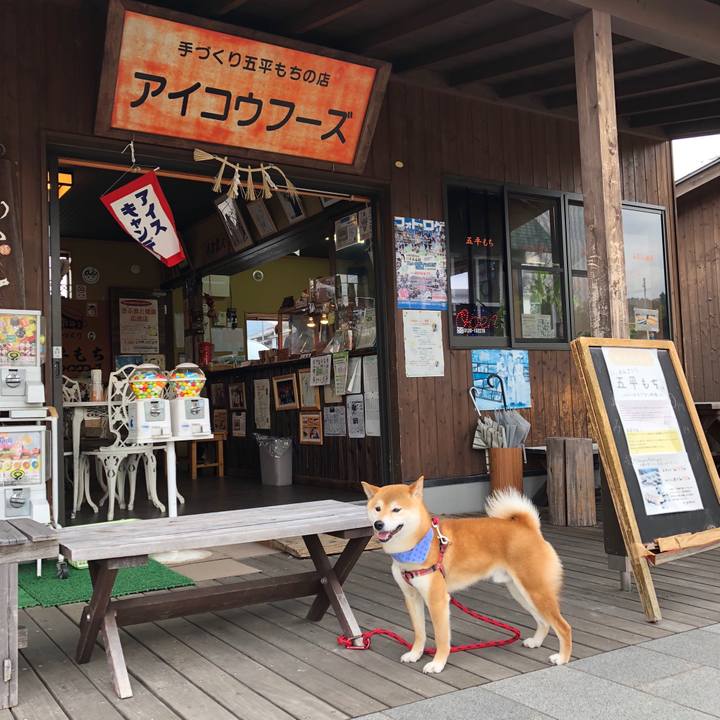 Da8024cb e8ff 4d3d b46d 743948790dd0 1527596897526