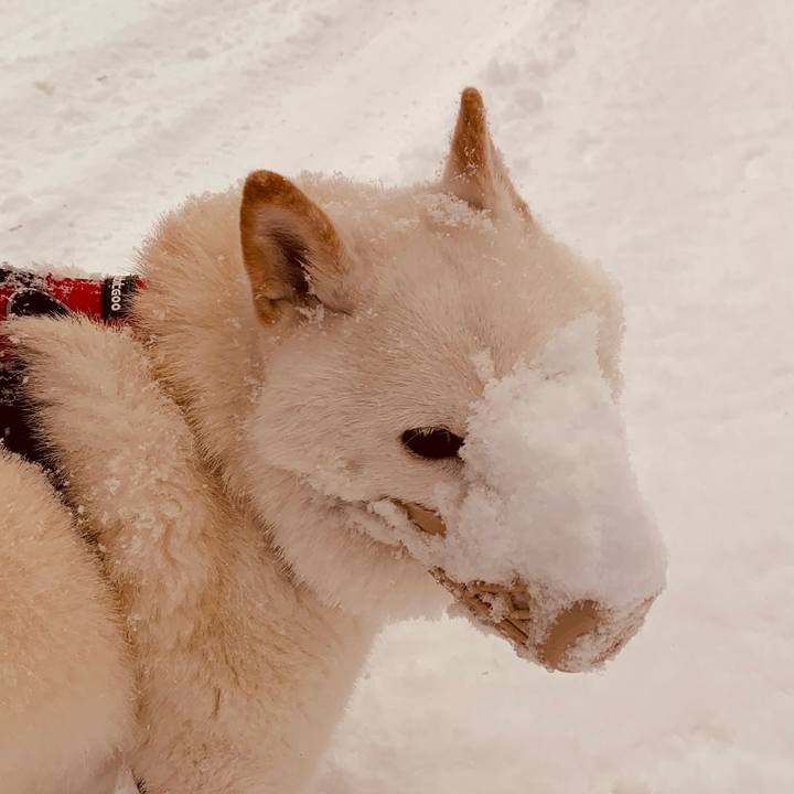 Da80253d fceb 42ce 92f5 3eaf2378bfd9 1677883189386