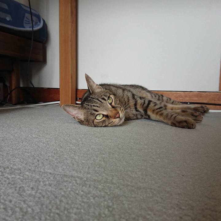 Da803440 ea75 433a 84bf ba83251a7eff 1555298407367