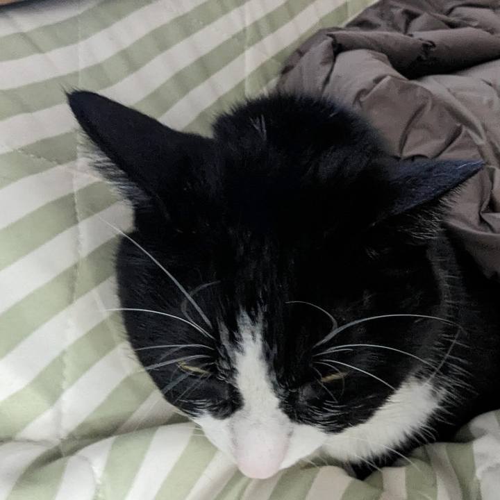 Da803f8a 6de4 4076 a21e 85a1dcd0e4ca 1708315256725