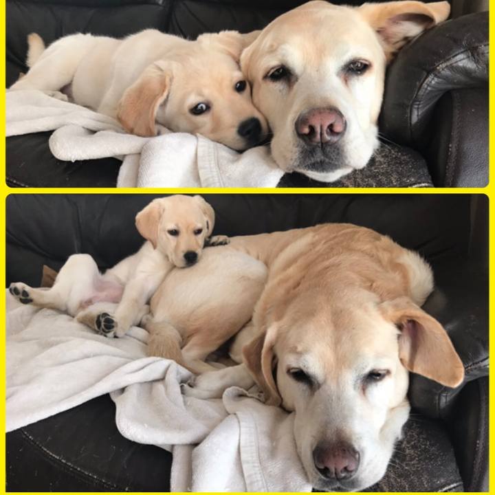 Da8040bd db1a 4b13 88b1 9c9afb6c7ead 1552656322787