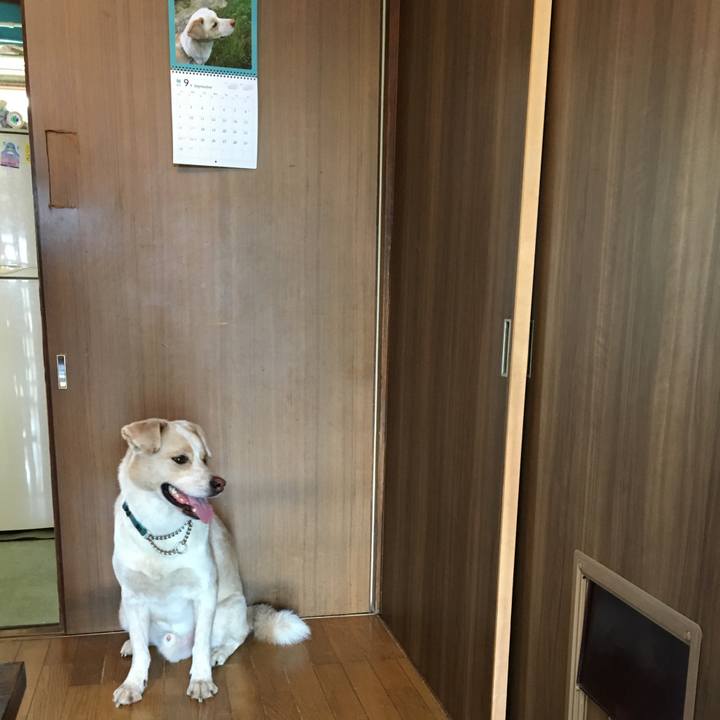 Da808319 54d3 4c57 af6c f6092ff531e2 1537151330631