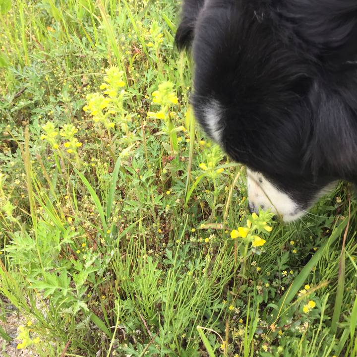 Da80a53a 7a62 4d9b 97b5 a474a0d70e57 1588375868034