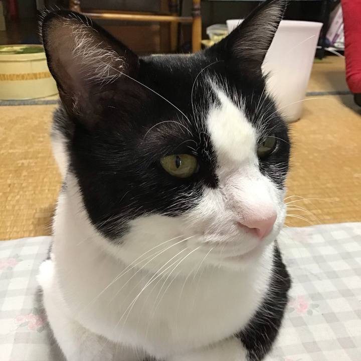 Da80cdd3 18c1 4ebb 949d 20cf0408b310 1756457479732