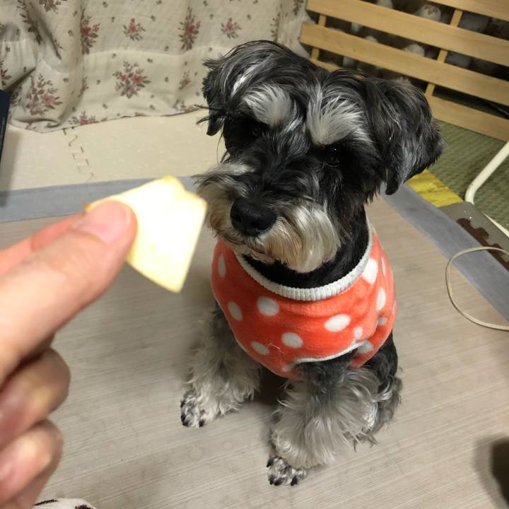 Da80f386 0dd5 49bf aacf 7c389cc1bda4 1649424693391