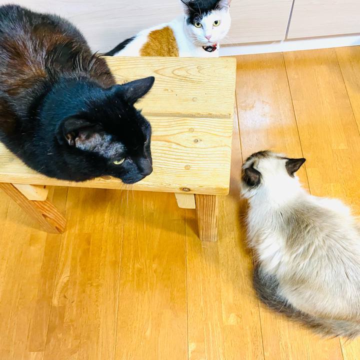 Da8102e5 2db4 4e9a b66f 65db1cbe57ea 1669118644585