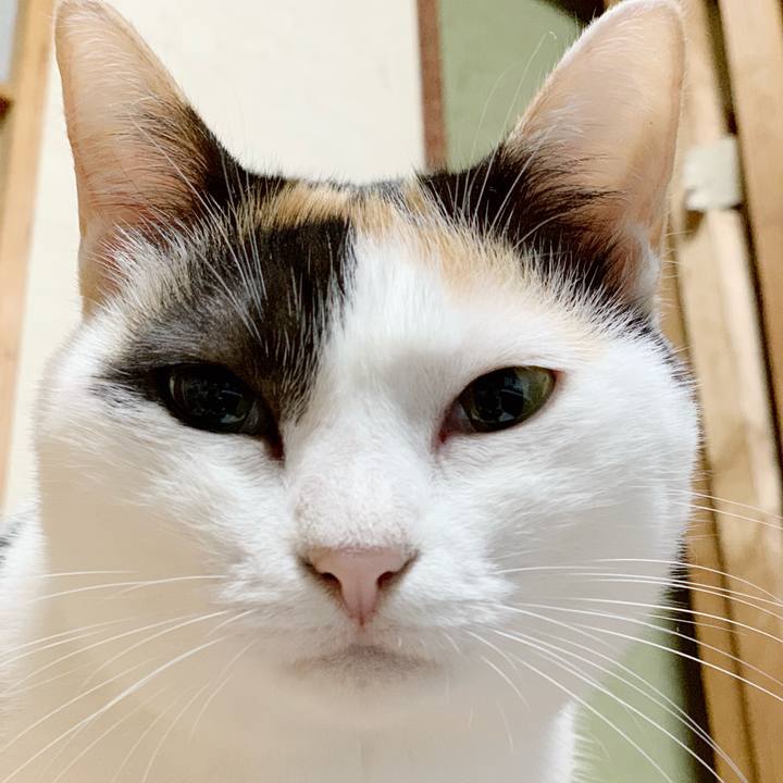 Da8122d7 0116 490a 81a4 8685edda8e27 1538446314527