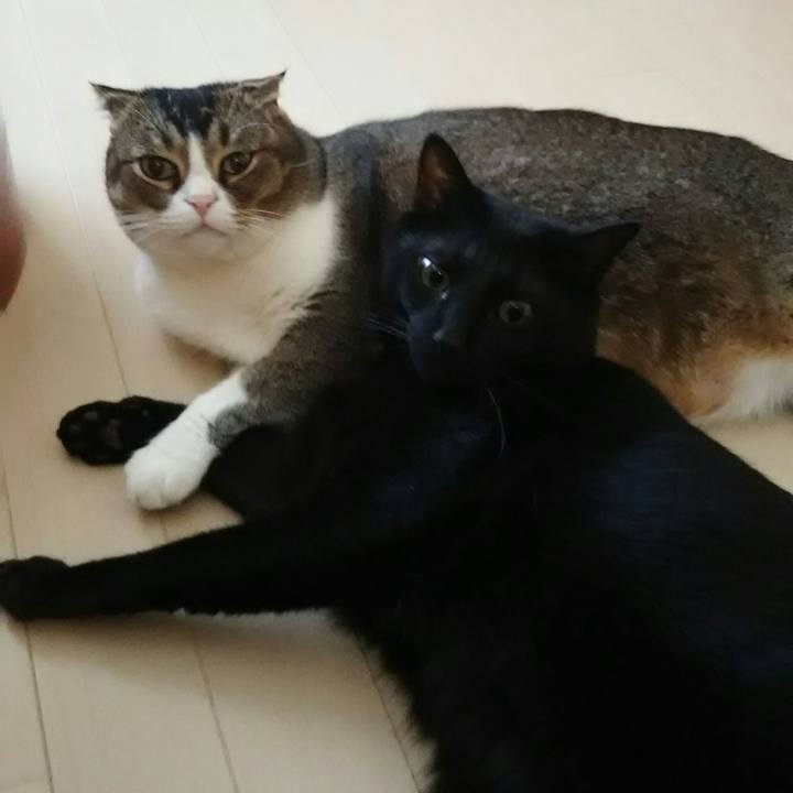 Da813085 e051 4ce3 83ab d4ec4d002148 1544313577796