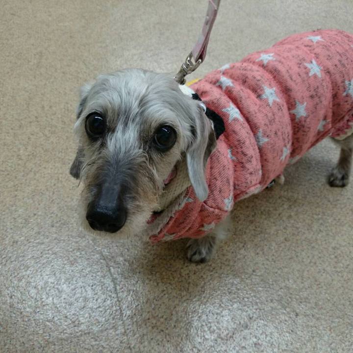 Da81648b b797 4ce3 9357 61f62a3dd1be 1512859984166