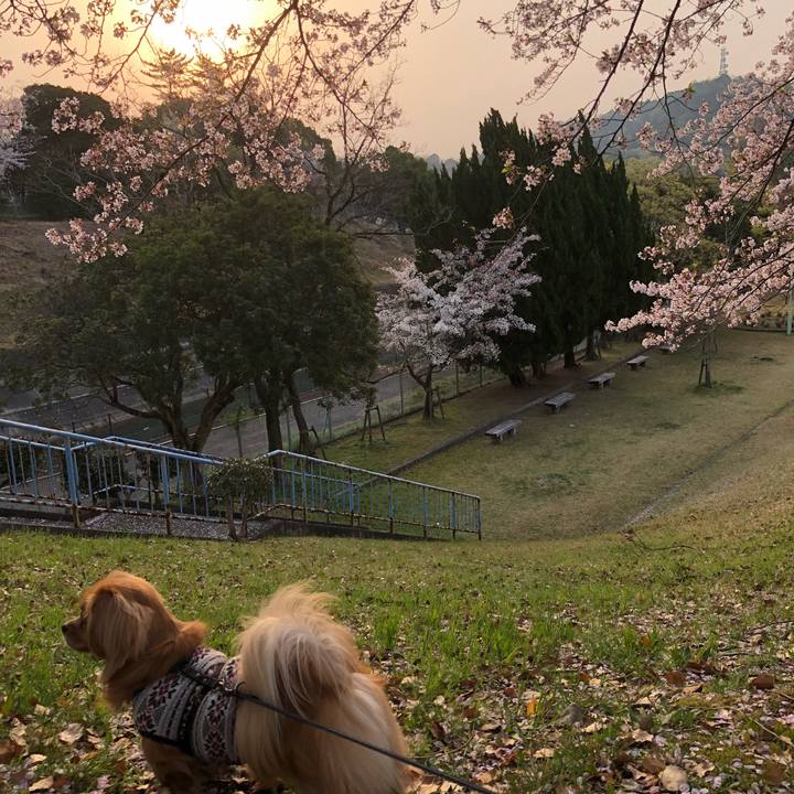 Da818e82 de91 4305 9bdc b455292049a9 1522620691344