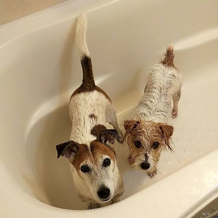 Da819bd1 8b36 40f2 8315 a0f9bcc4a2be 1538282095114