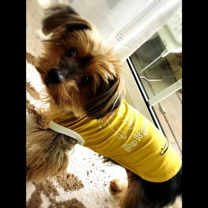 Da81b8a5 3fa2 40ed b0b3 7c9329d9f30d 1510980176994