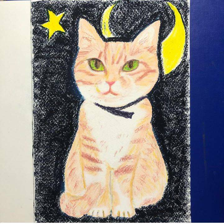 Da81bbd8 b3bb 4a7c b200 7cd22f13cce0 1603529401852