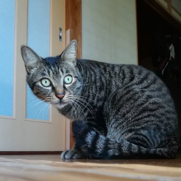 Da81f7ff a00f 48bd 96fb 9c68568a6659 1534234216635