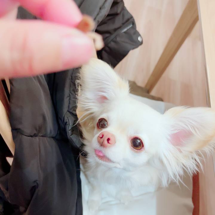 Da81fc6a c377 44bc 9f00 2829e3a6c8eb 1711547593253