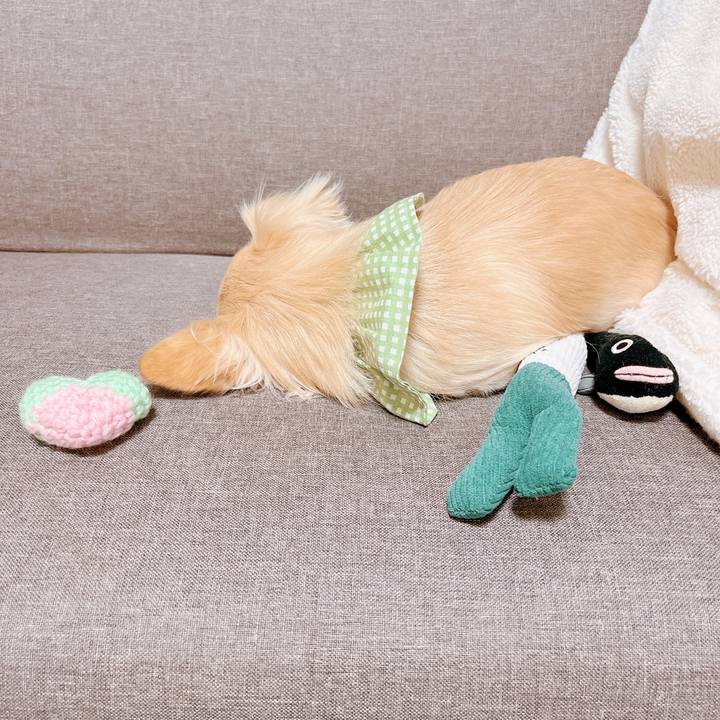 Da827537 6722 4fd2 b92b b1a6ec458aa5 1668081986317