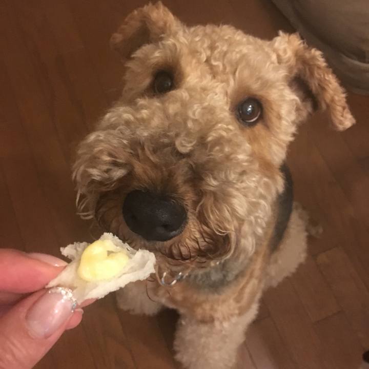 Da82760c d0a6 41e1 98ac 63736517de41 1562850902658