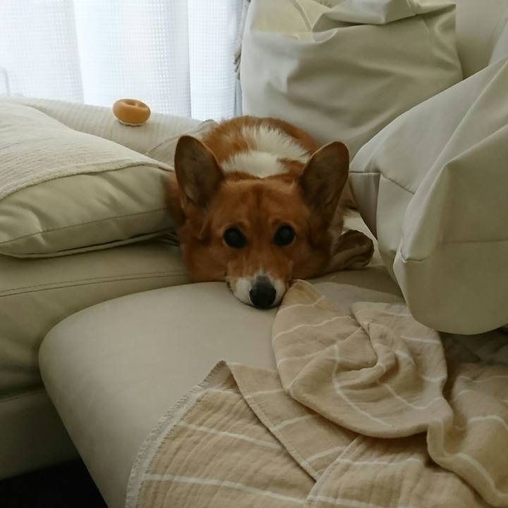 Da827ed5 9445 4d59 b0d3 8f9af9f49e1a 1552287561777