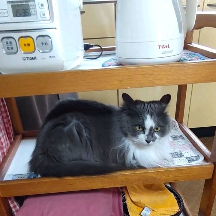 Da828277 6bae 44e9 b06a 418777615681 1682231891015