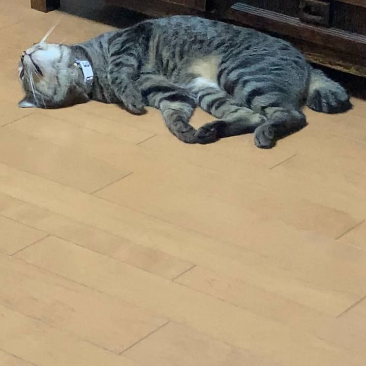 Da82a0de 0d43 455f 8ed2 149240de6843 1631707034903